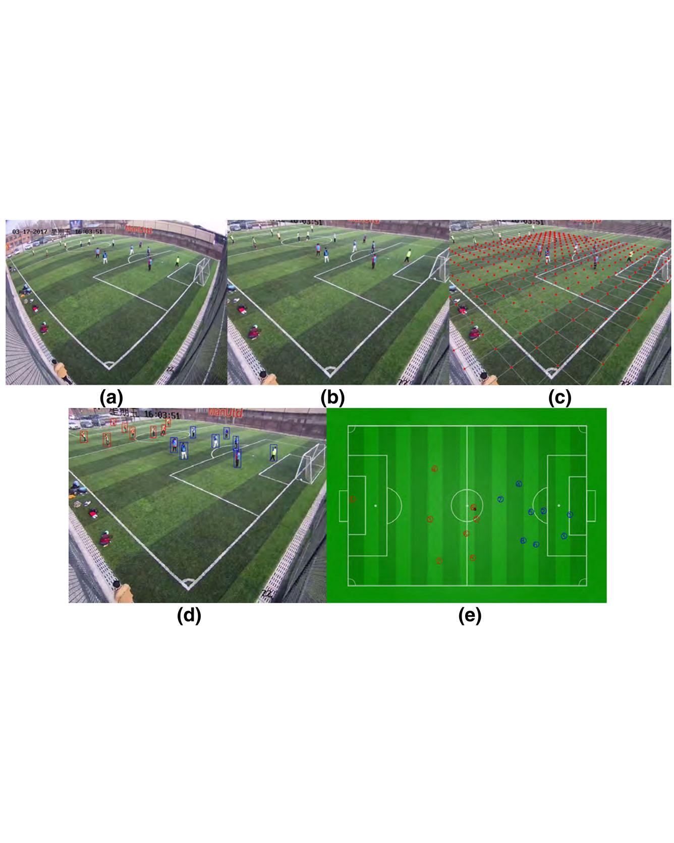 ESTHER: Joint camera self‑calibration and automatic radial distortion correction from tracking of walking humans