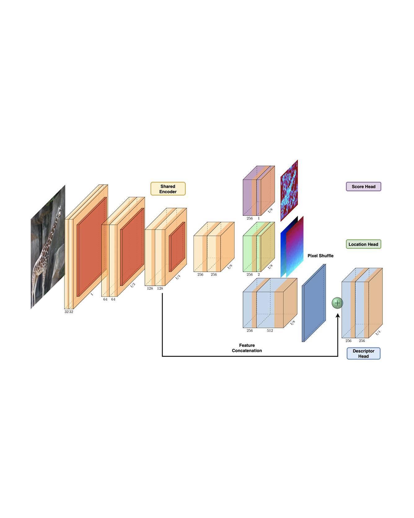 Neural Outlier Rejection for Self‑Supervised Keypoint Learning