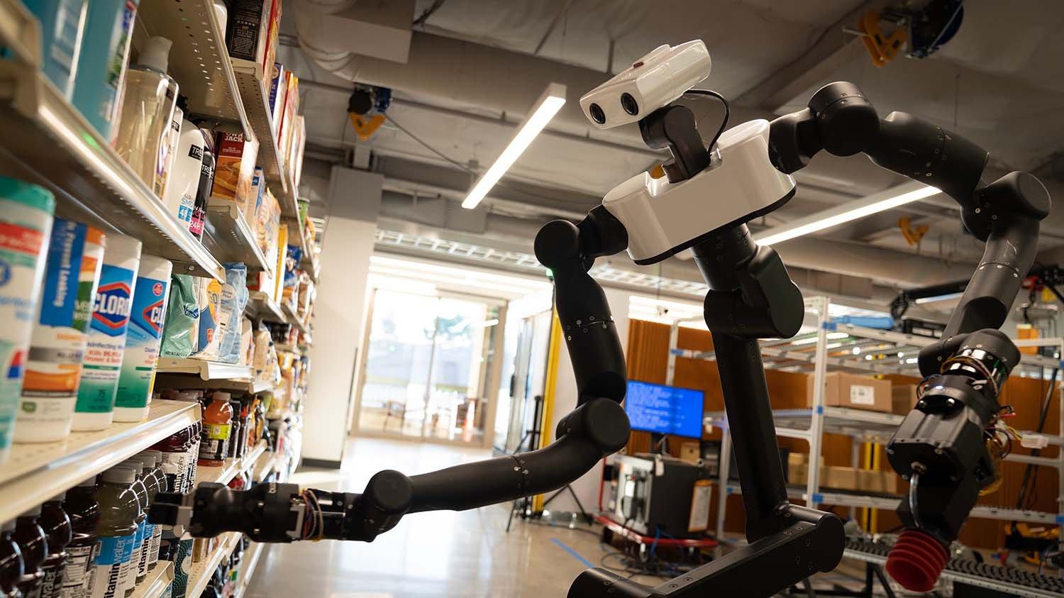 image of robot in grocery store