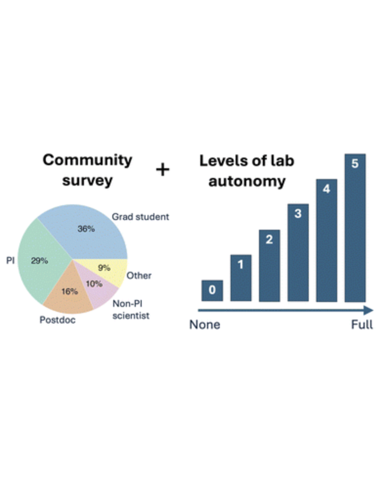 pie and graph charts