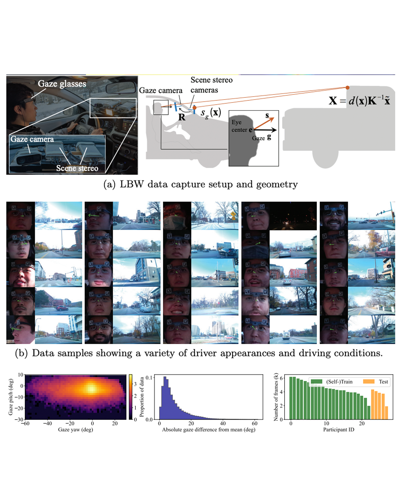 look both ways dataset